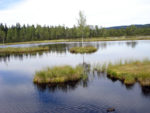 Šumava, červenec 2015