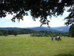 Šumava, červenec 2015